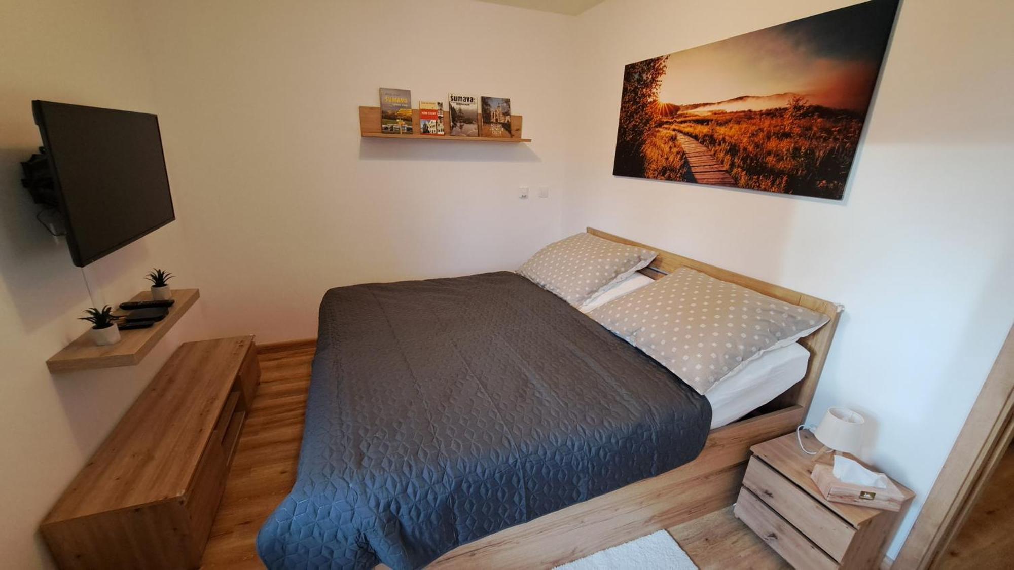Apartmany - Male Lipno Černá v Pošumaví Exteriér fotografie