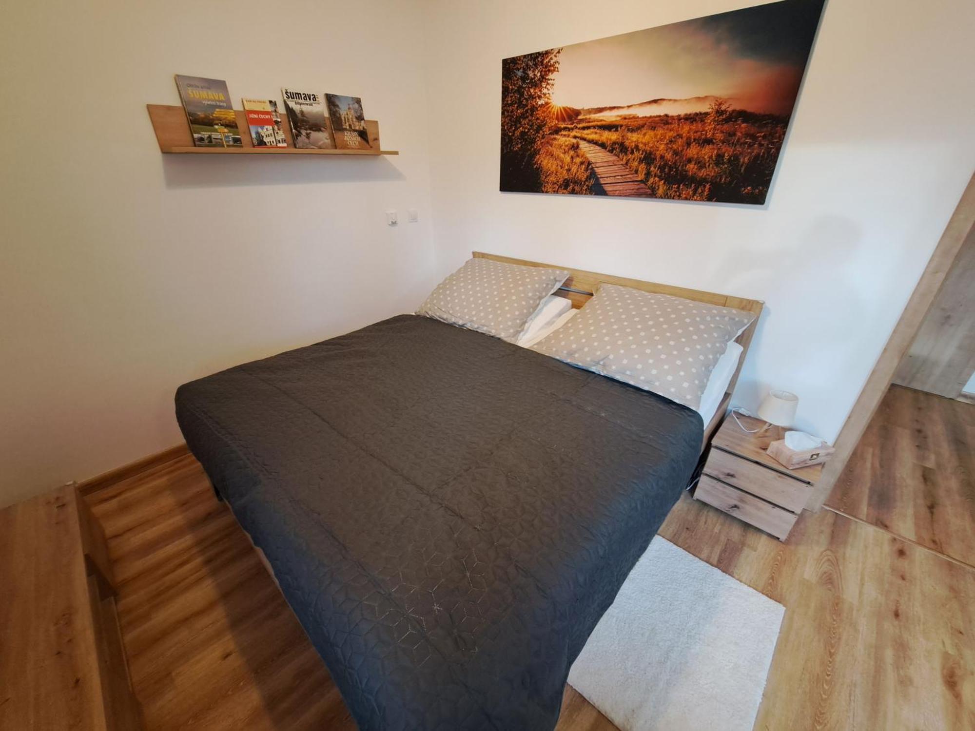 Apartmany - Male Lipno Černá v Pošumaví Pokoj fotografie
