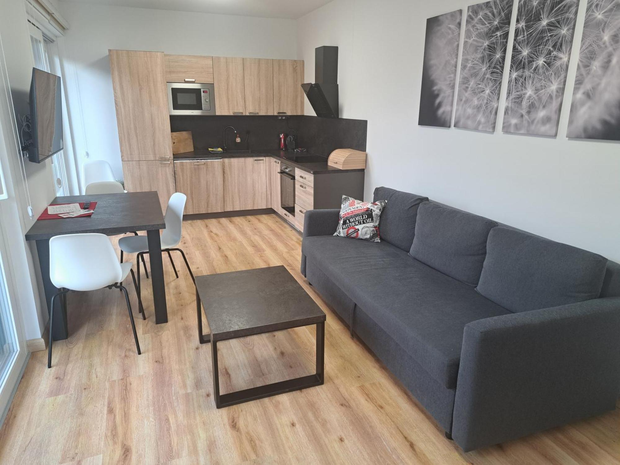 Apartmany - Male Lipno Černá v Pošumaví Pokoj fotografie